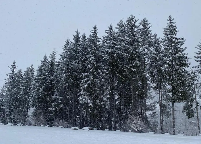 Maison Poluc - Maison Adeline 3*